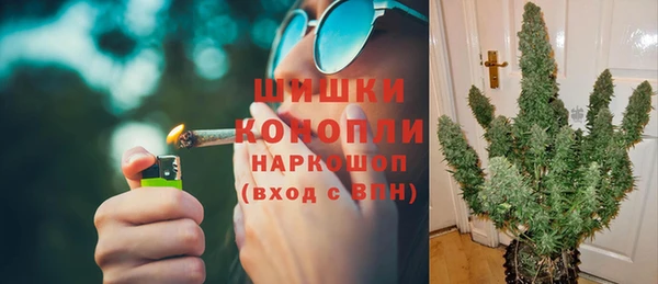 индика Арсеньев