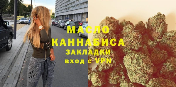 индика Арсеньев