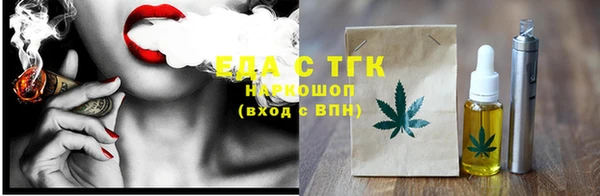 индика Арсеньев