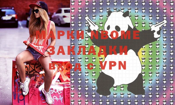 индика Арсеньев