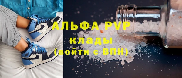 индика Арсеньев