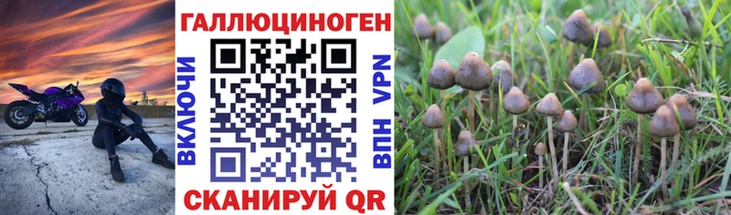 купить закладку  Нестеров  Галлюциногенные грибы GOLDEN TEACHER 